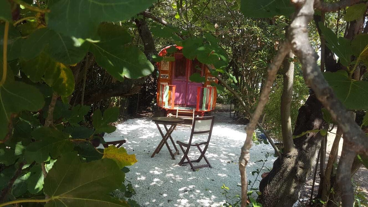Photo of Outdoor in Vallauris