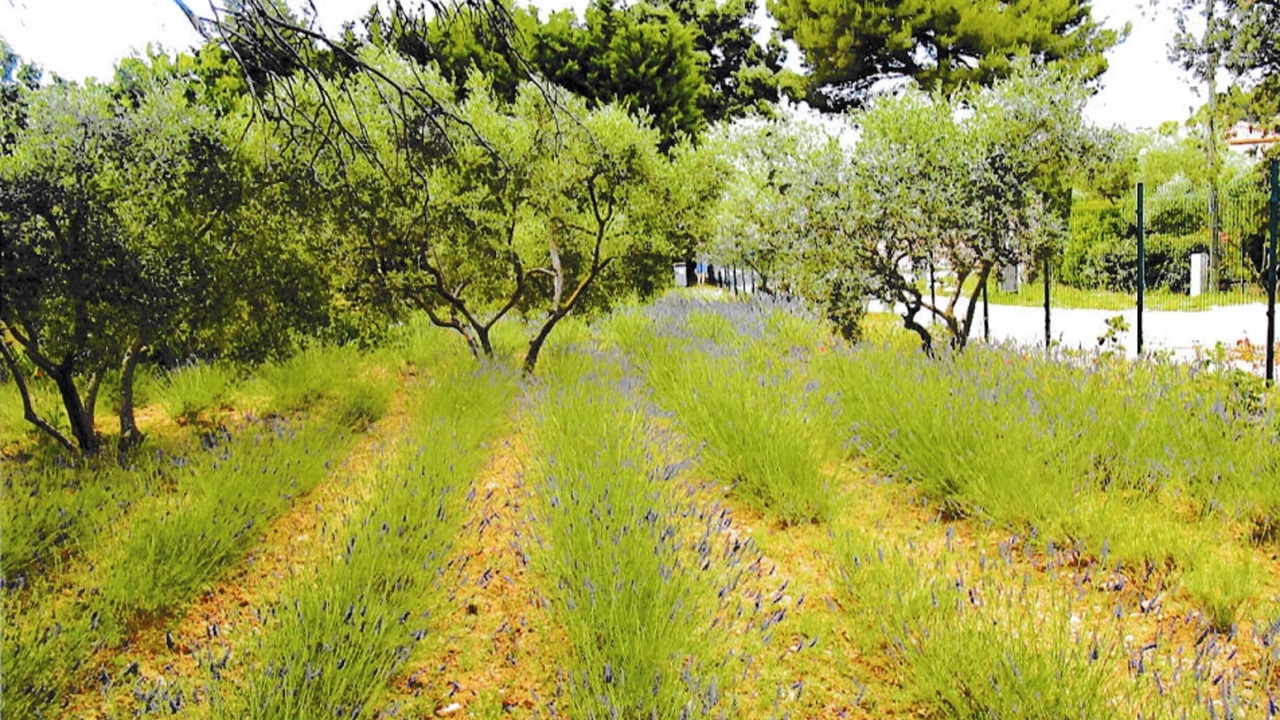 Photo of Outdoor in Lancon-Provence