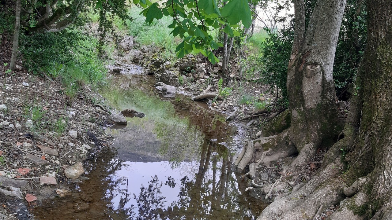 Photo of Others in La Bastide