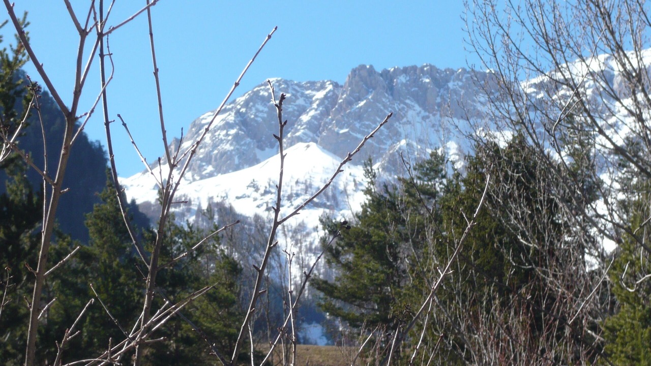 Photo of Others in Les Thuiles