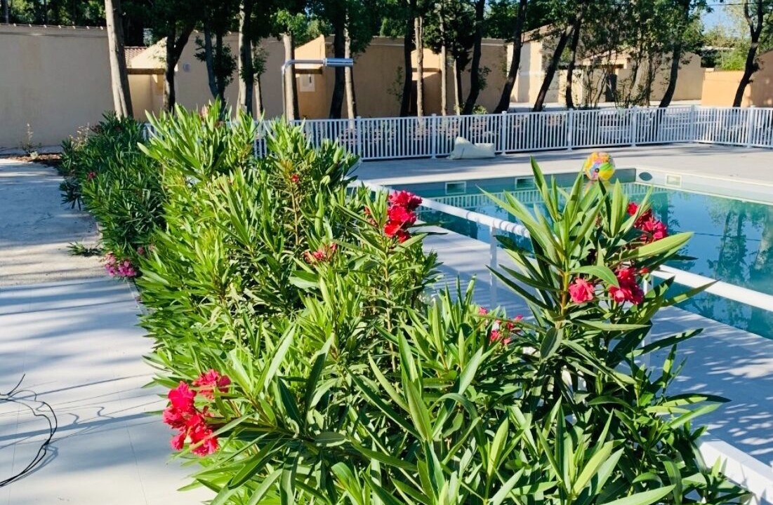Photo of Outdoor in St.-Remy-de-Provence