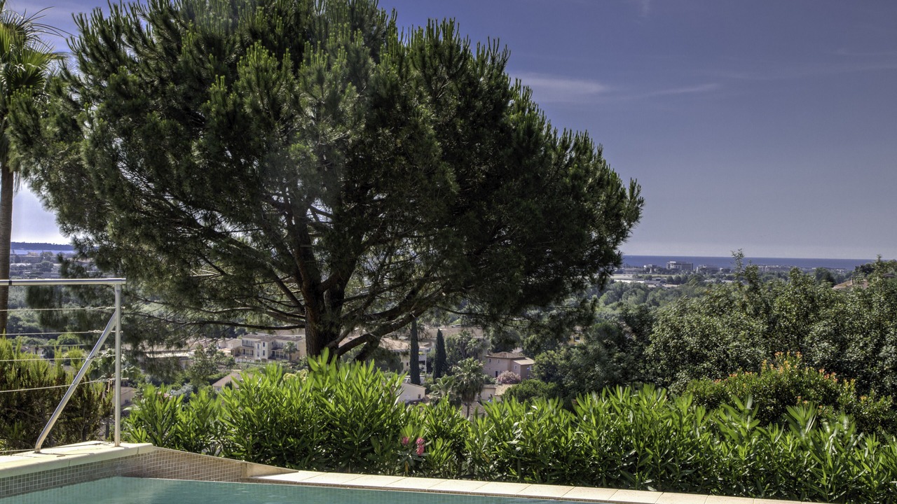 Photo of Outdoor in Mandelieu-La-Napoule