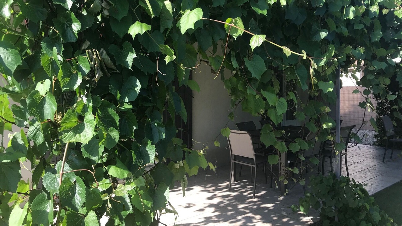 Photo of Outdoor in St.-Remy-de-Provence