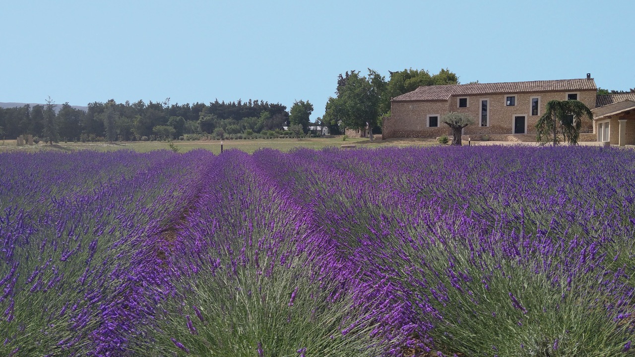 Photo of Outdoor in Cavaillon