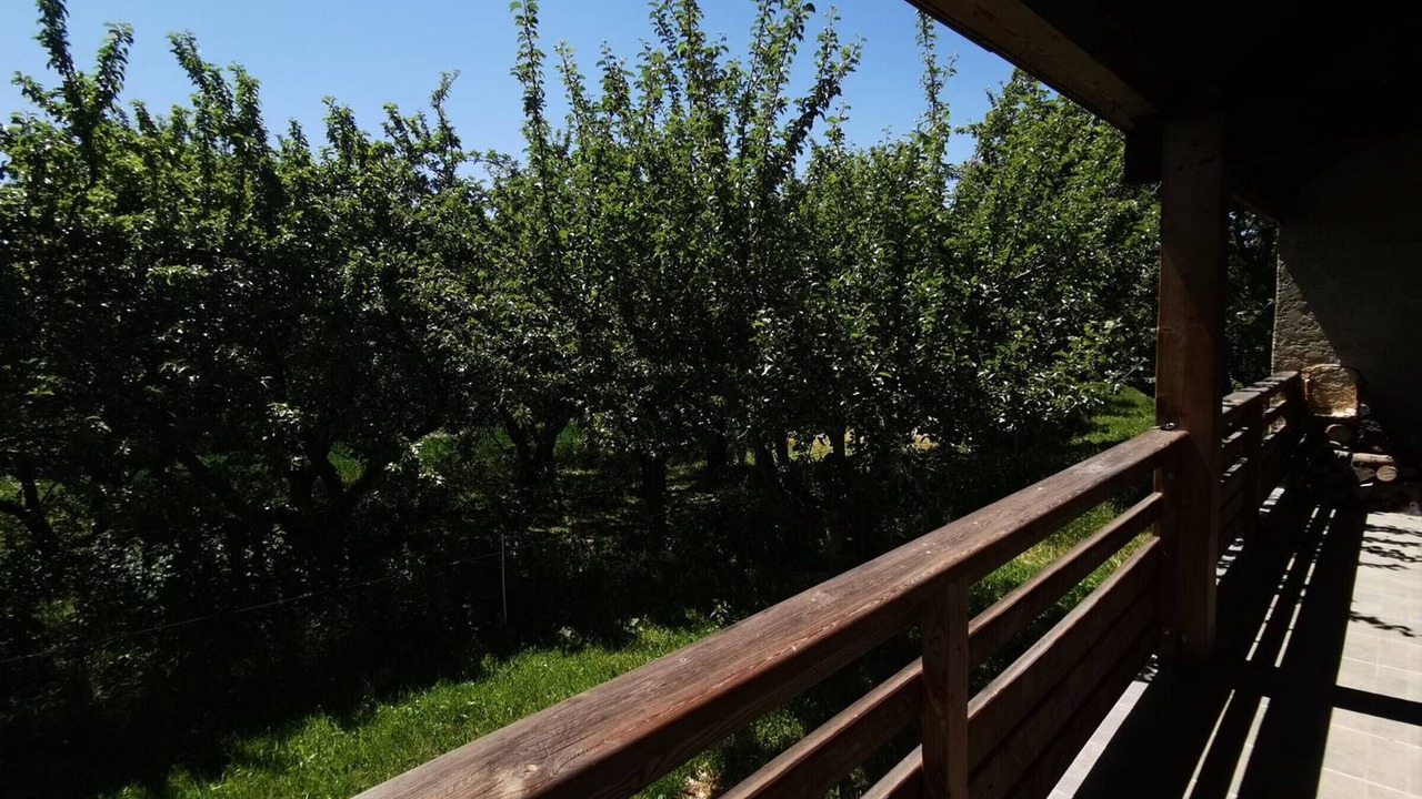 Photo of Outdoor in Saint-Michel-de-Chaillol