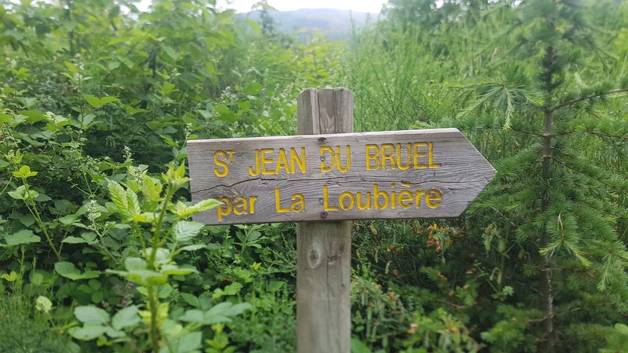 Photo of Outdoor in Saint-Jean-du-Bruel