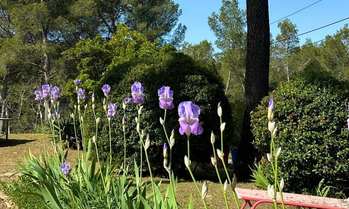 Photo of Outdoor in Gemenos