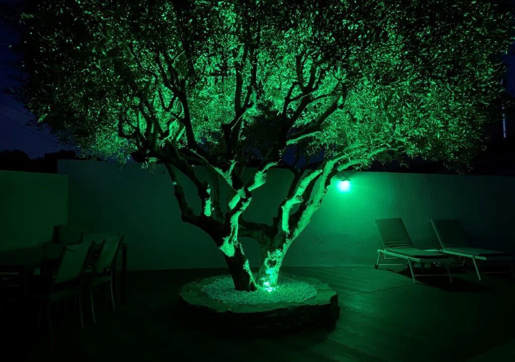 Photo of Patio Balcony in Ceyreste