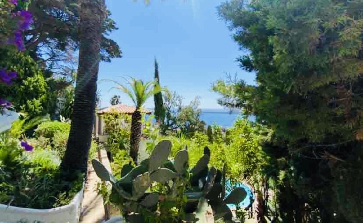 Photo of Outdoor in California - Pezou