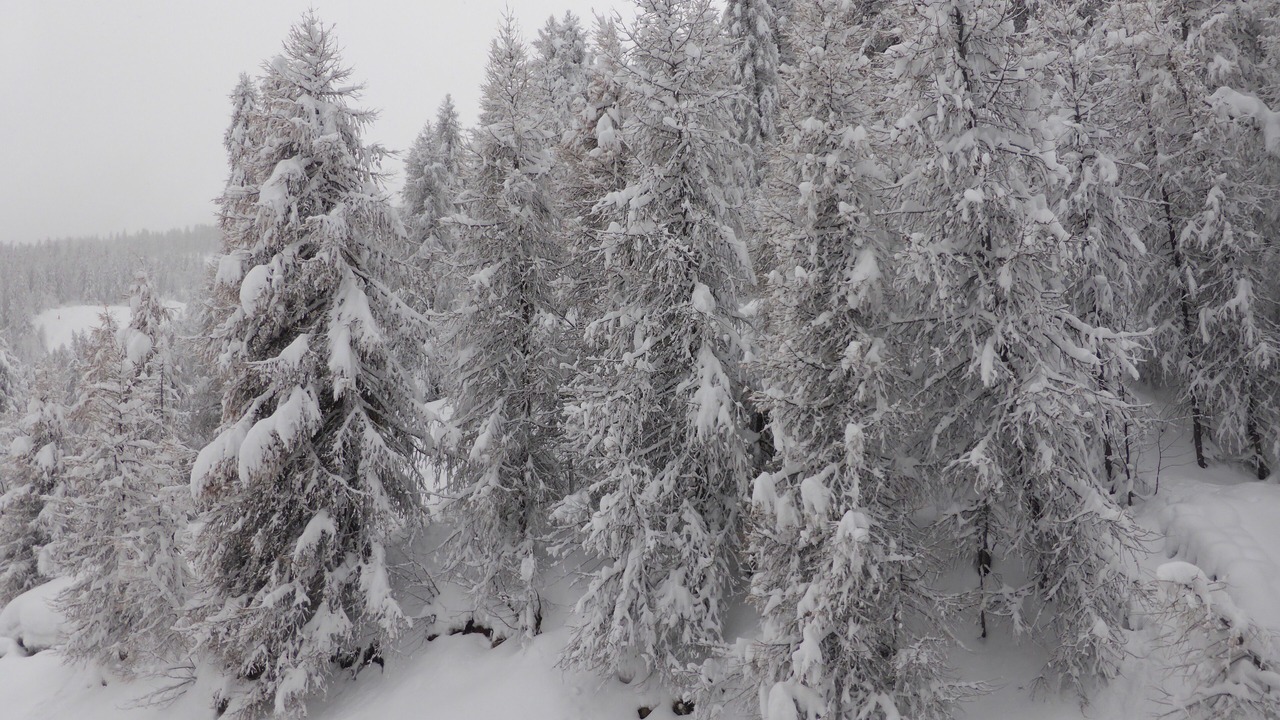 Photo of Others in Puy-Saint-Vincent