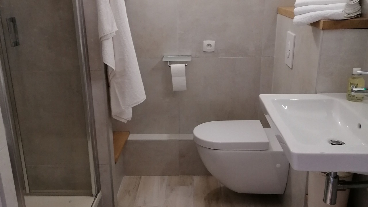 Photo of Bathroom in Puy-Saint-Vincent