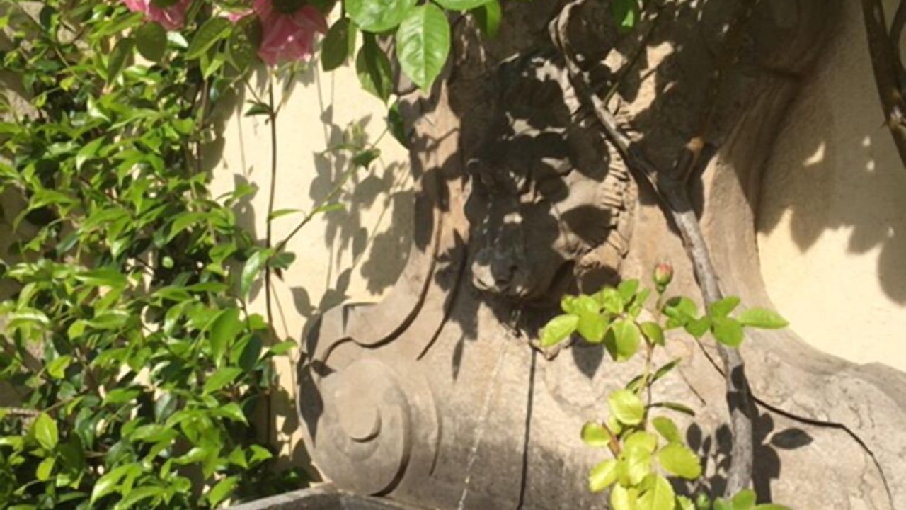 Photo of Outdoor in Tourrettes-sur-Loup