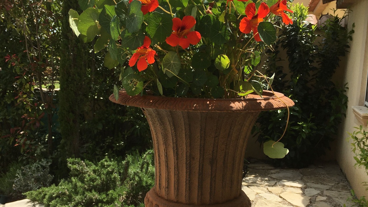 Photo of Outdoor in Tourrettes-sur-Loup