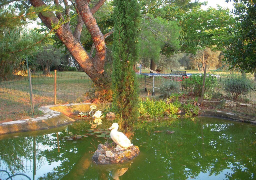Photo of Outdoor in Arles