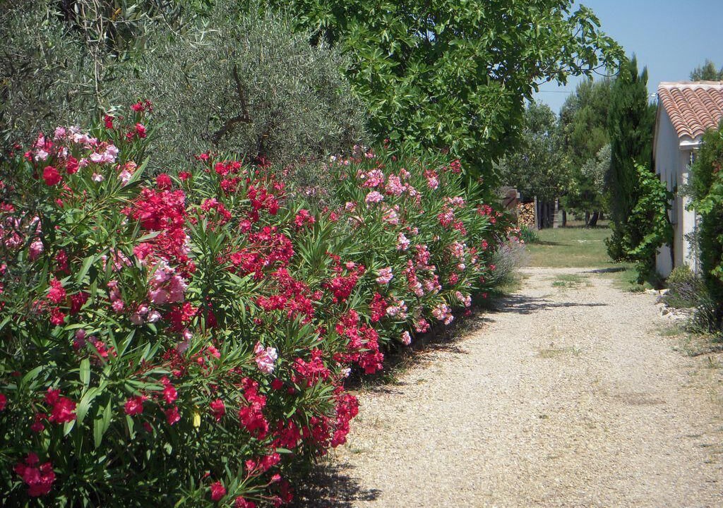 Photo of Outdoor in Arles