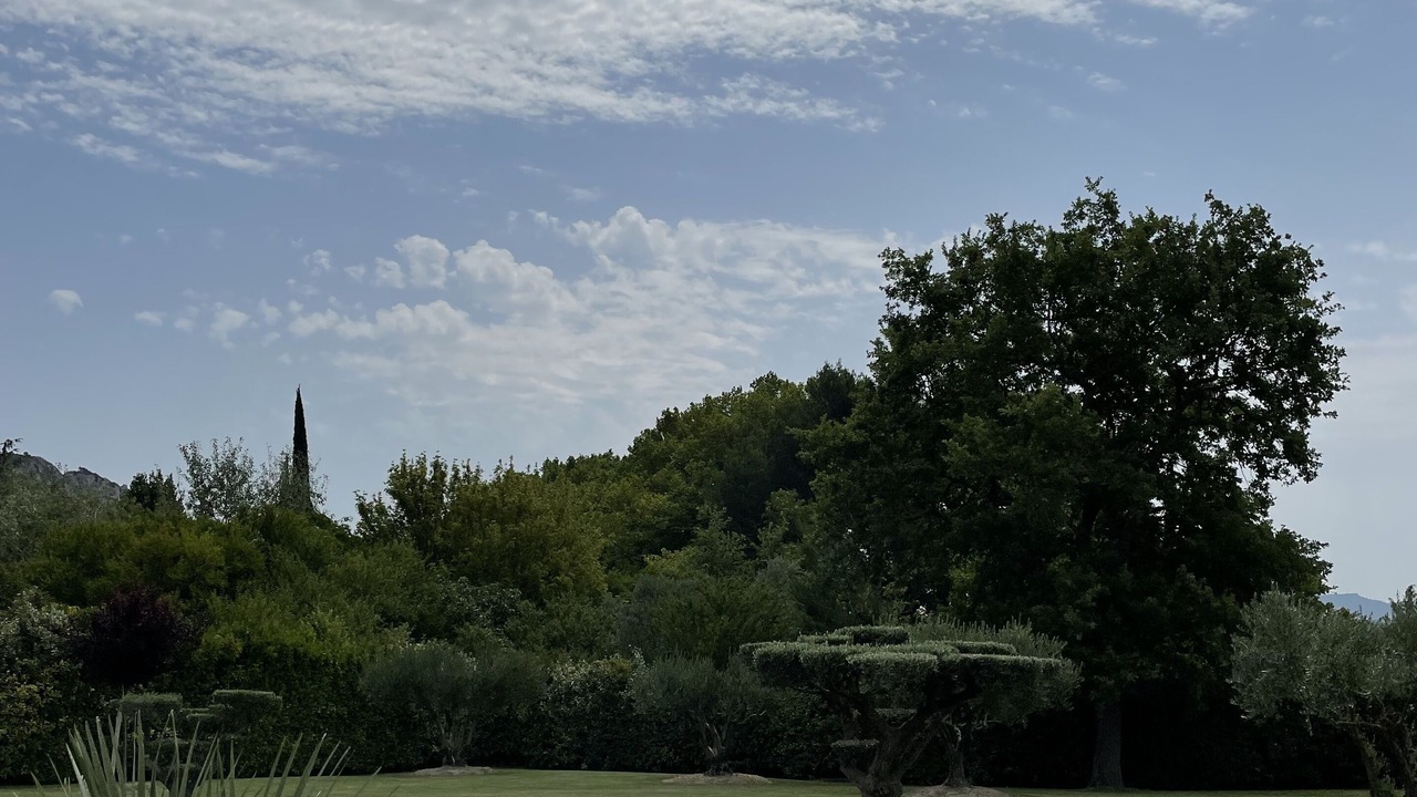 Photo of Others in Cheval-Blanc