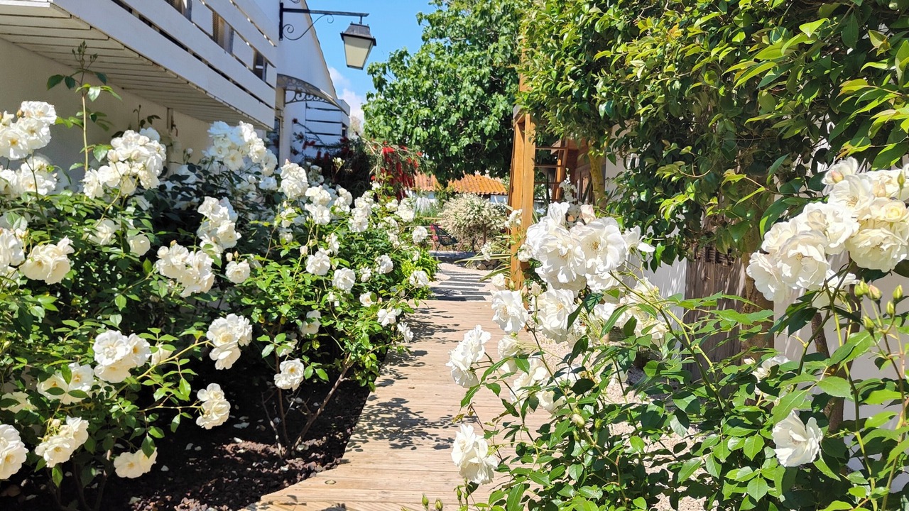 Photo of Outdoor in Saintes-Maries-de-la-Mer