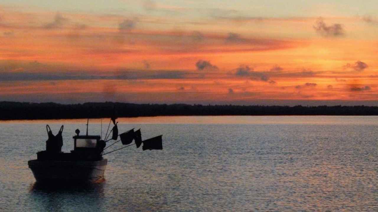 Photo of Others in Saintes-Maries-de-la-Mer