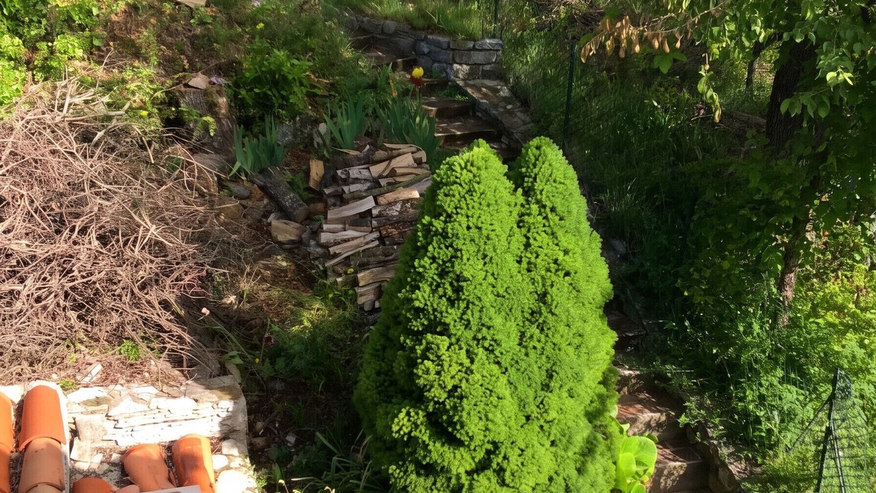 Photo of Outdoor in Vacheres