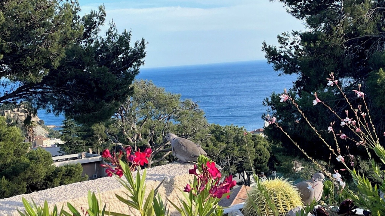 Photo of Outdoor in Cassis