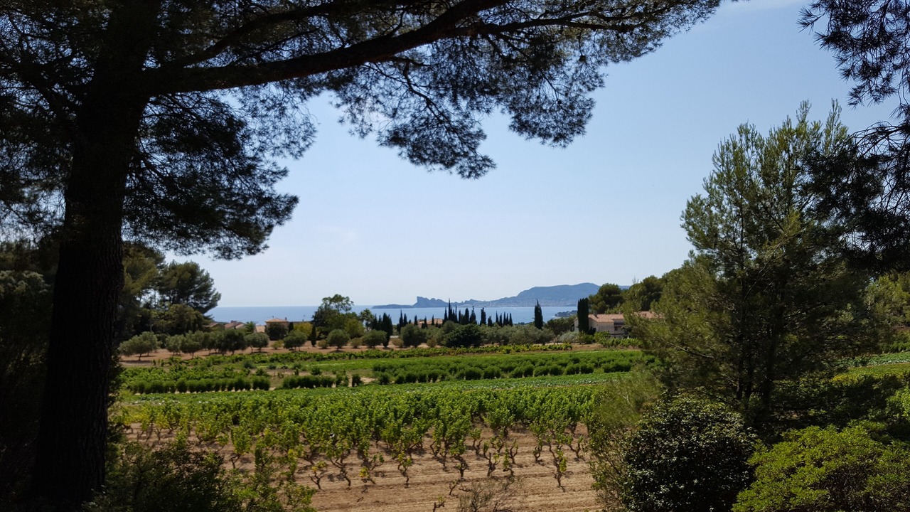 Photo of Outdoor in Saint-Cyr-sur-Mer