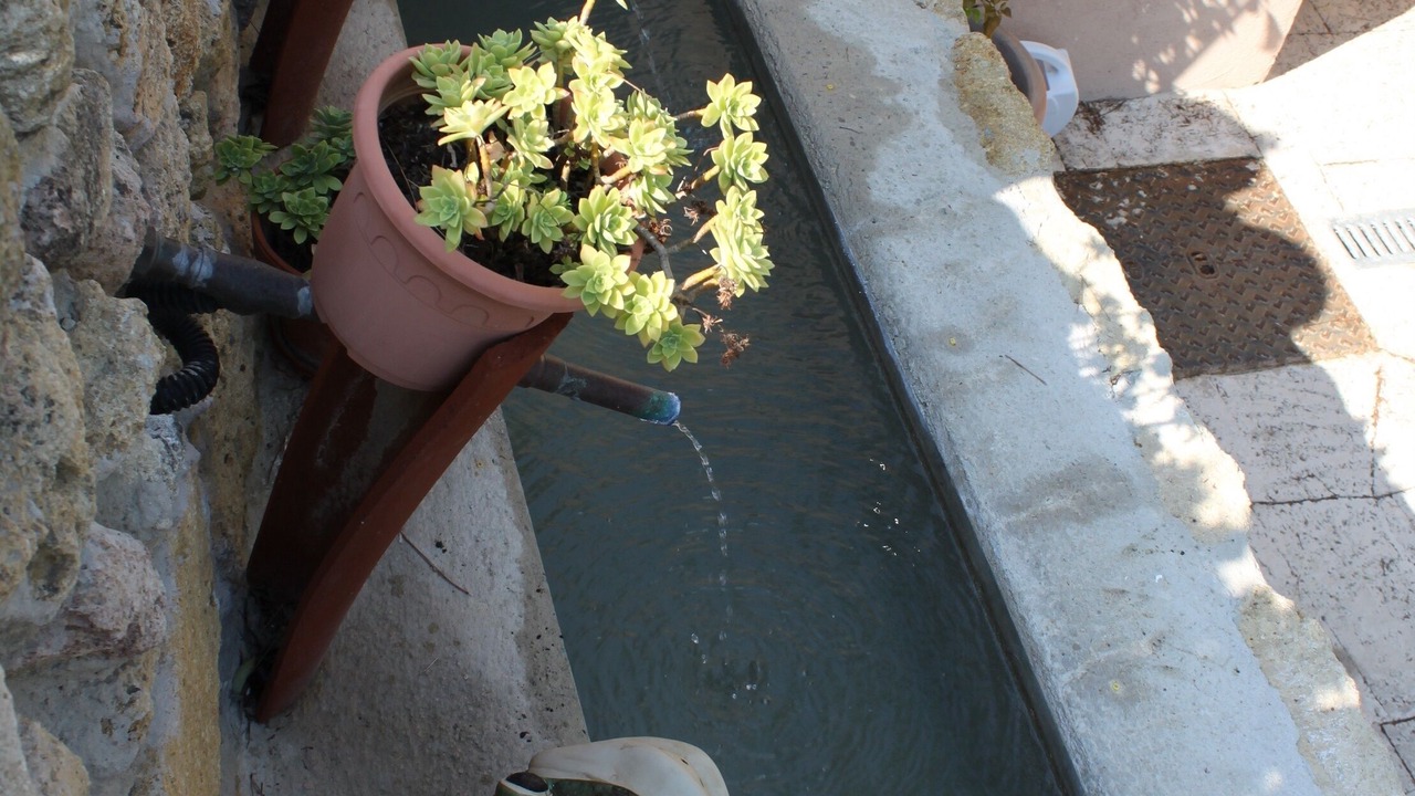 Photo of Outdoor in Salon-de-Provence
