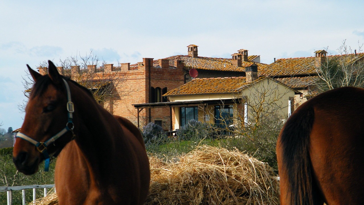 Photo of Others in San Gimignano