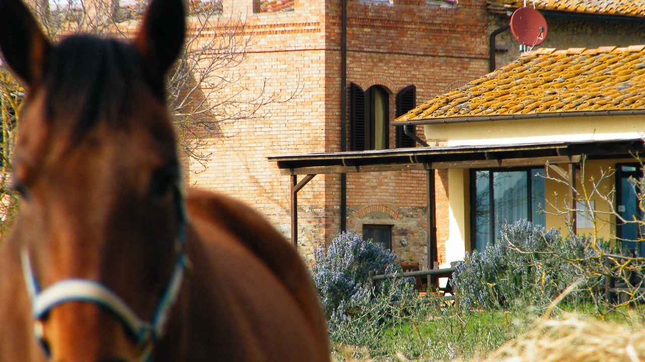 Photo of Others in San Gimignano