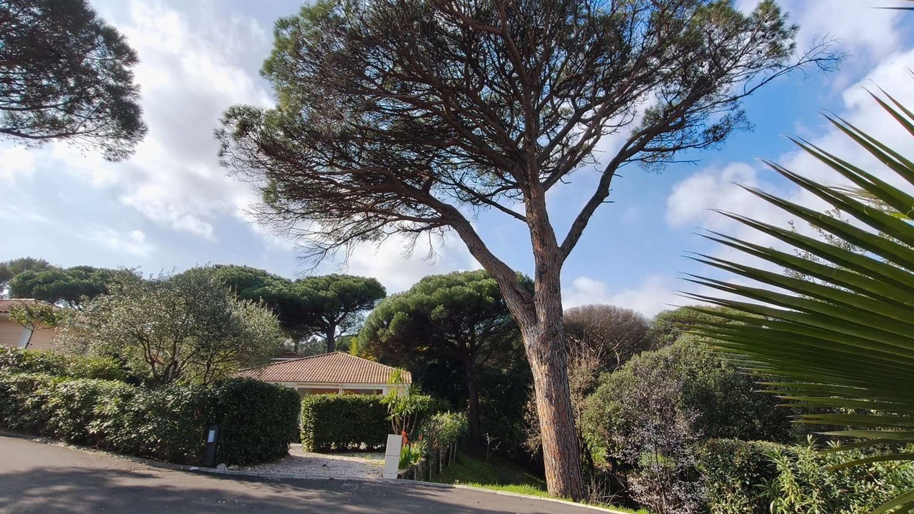 Photo of Outdoor in Gassin