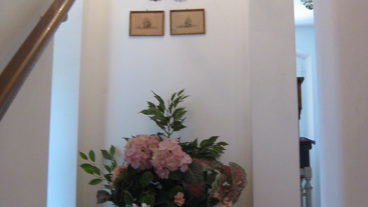 Photo of Others in Ramatuelle