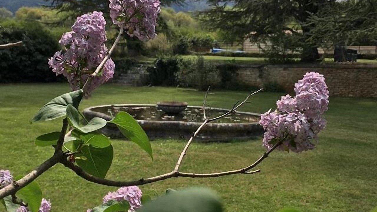 Photo of Outdoor in Bonnieux