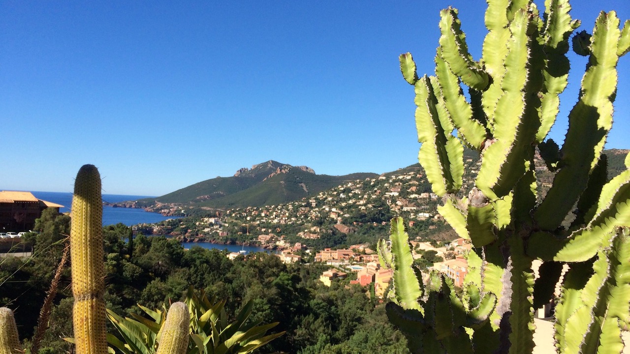 Photo of Outdoor in Theoule-Superieur