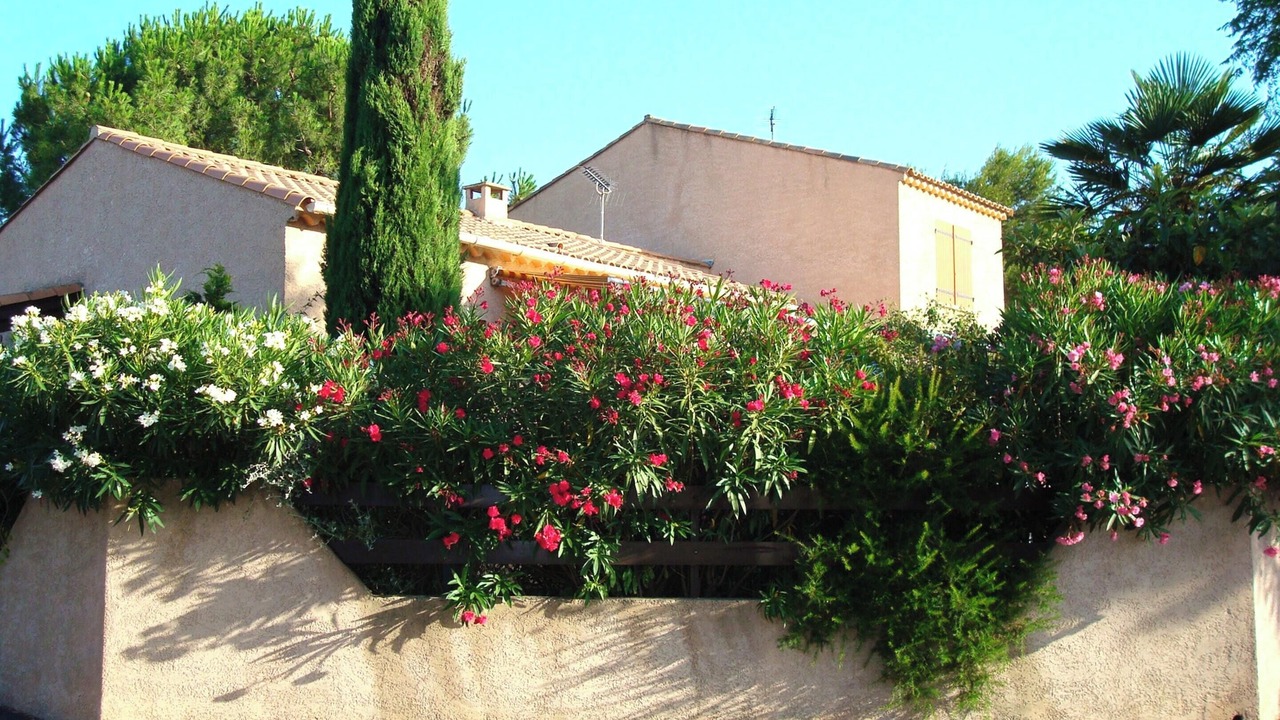 Photo of Others in Le Grau-dʼAgde