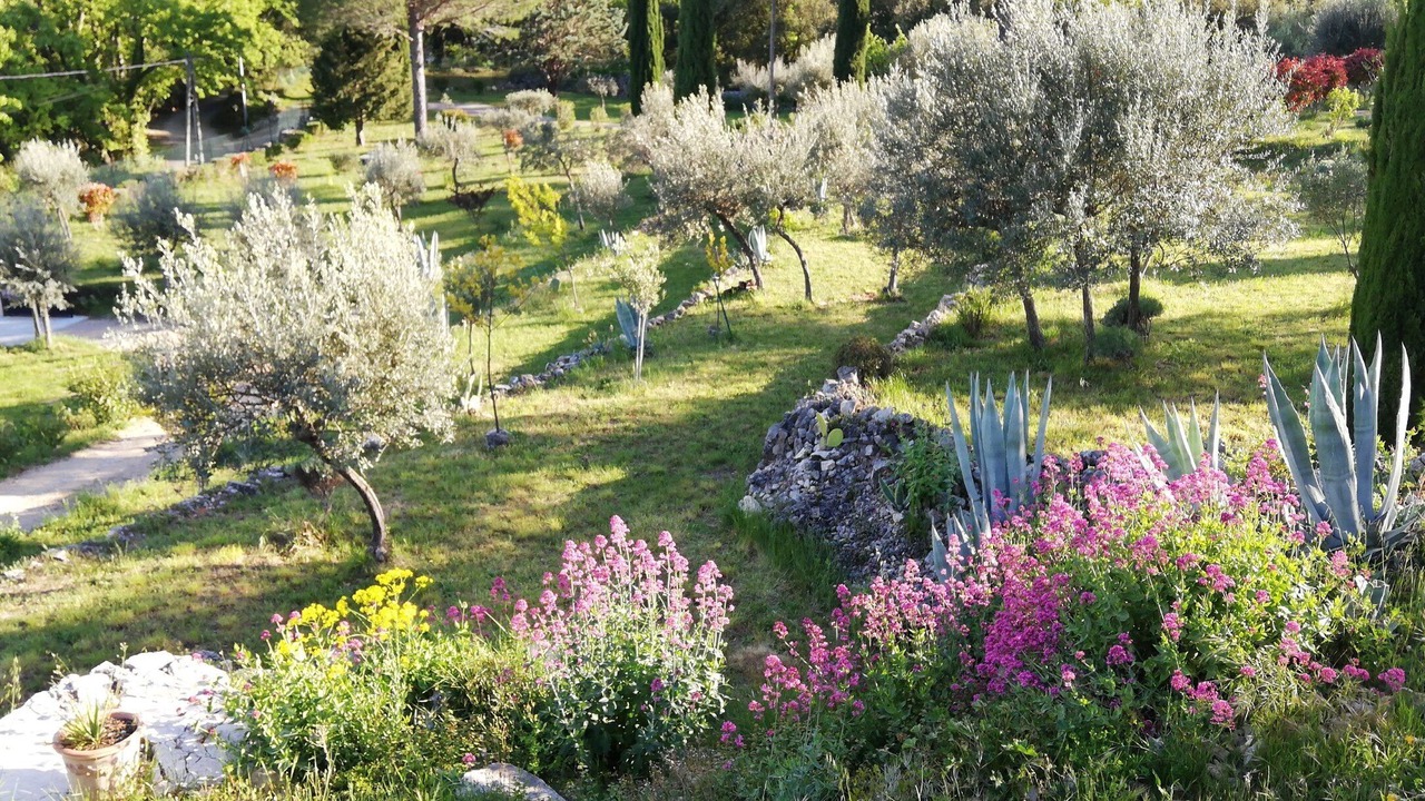 Photo of Outdoor in Callas