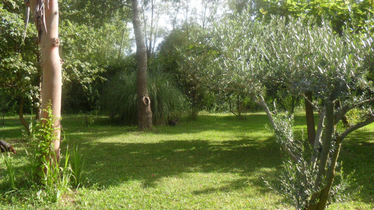 Photo of Outdoor in Saliers