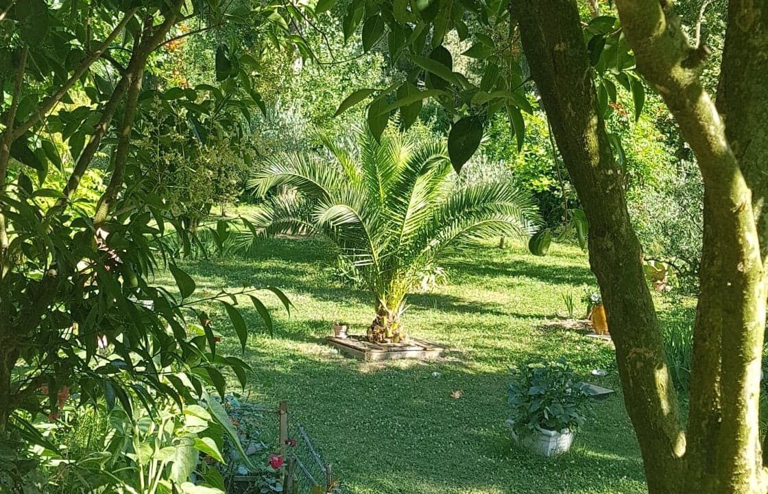 Photo of Outdoor in Saliers