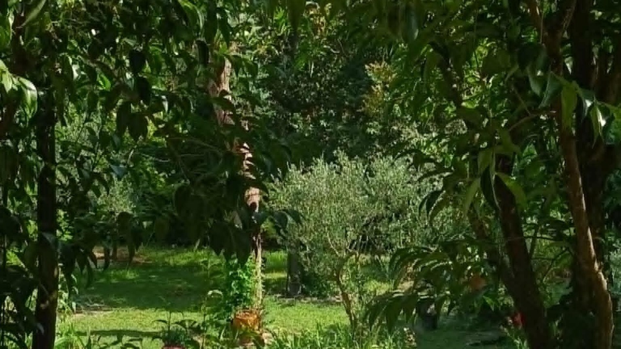 Photo of Outdoor in Saliers