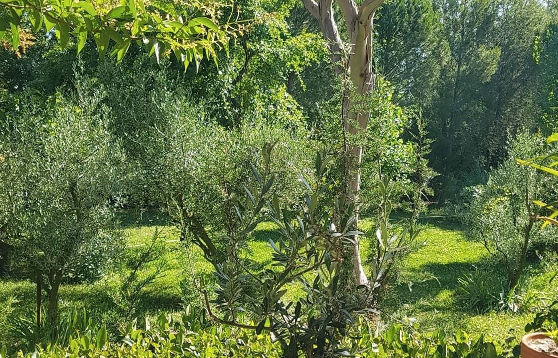 Photo of Outdoor in Saliers