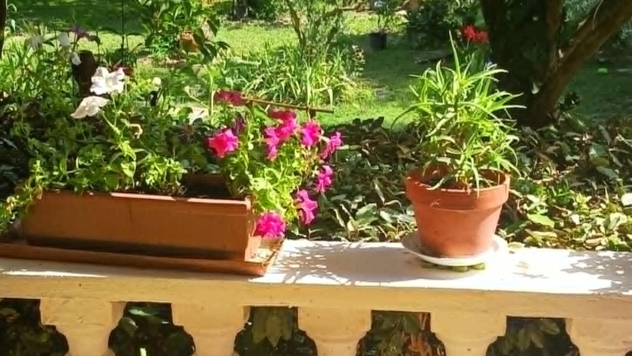 Photo of Outdoor in Saliers