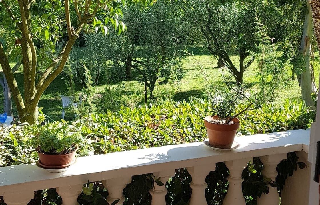 Photo of Outdoor in Saliers