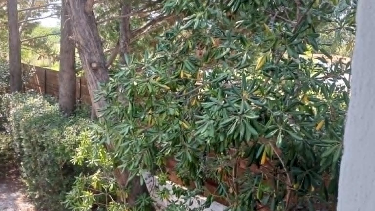 Photo of Outdoor in Saliers