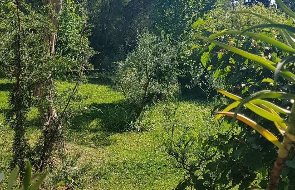 Photo of Outdoor in Saliers