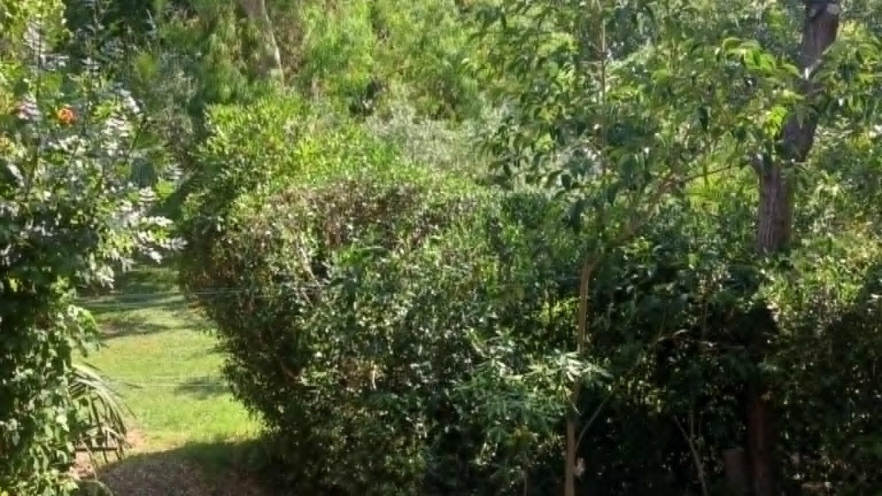 Photo of Outdoor in Saliers