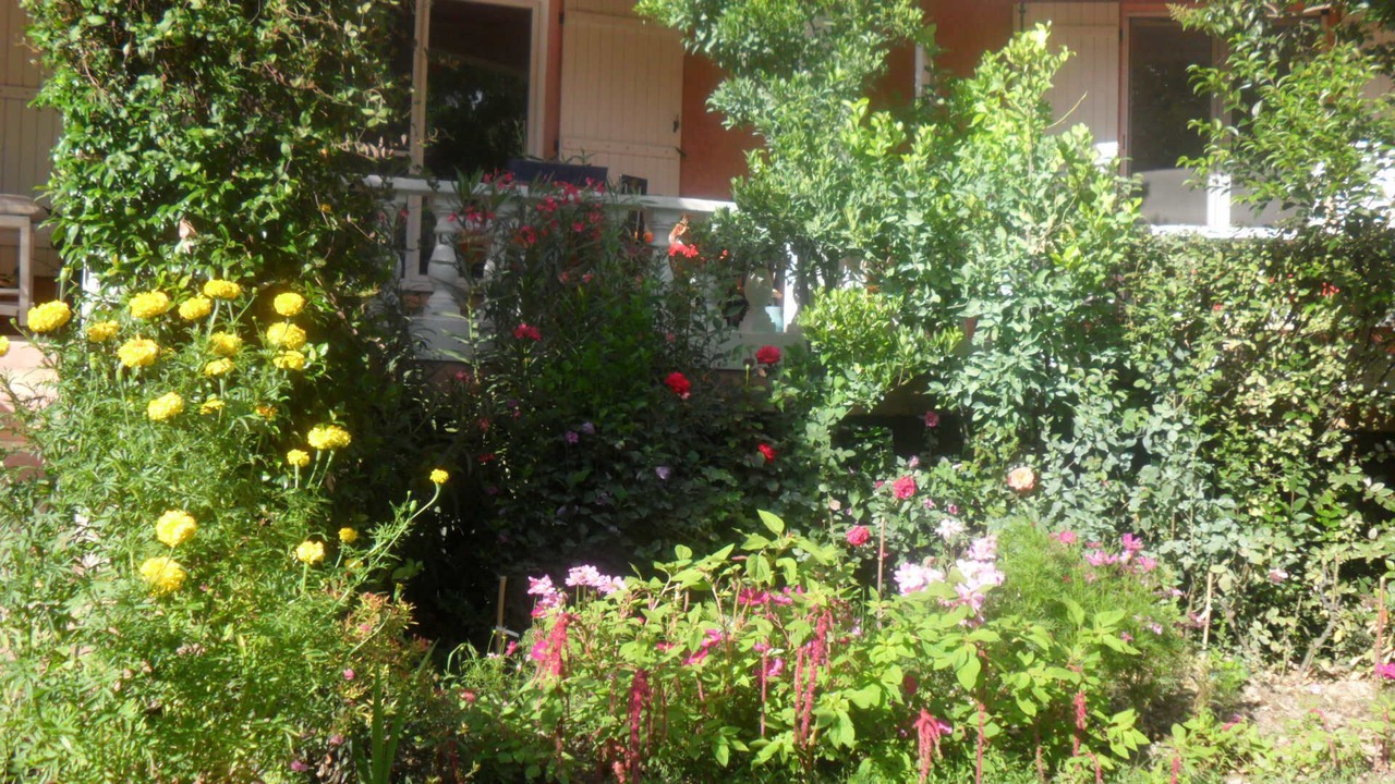 Photo of Outdoor in Saliers