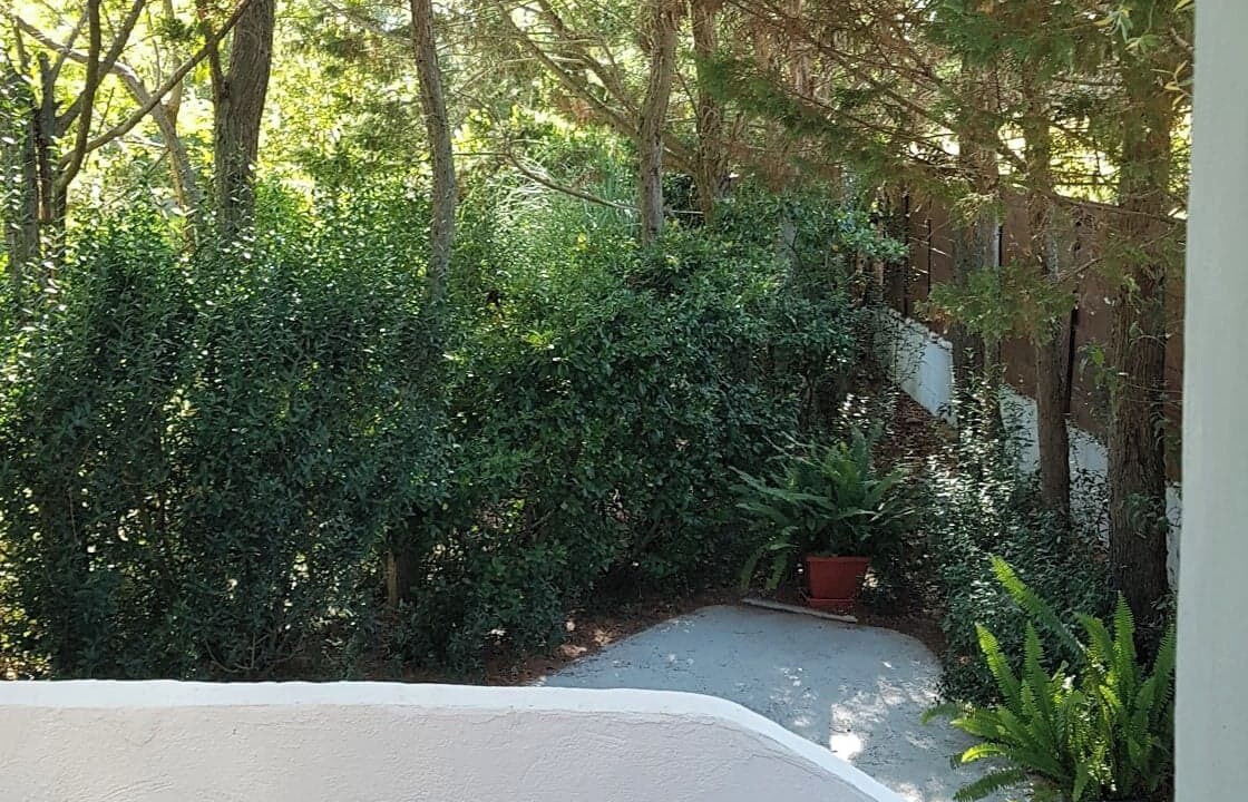 Photo of Outdoor in Saliers