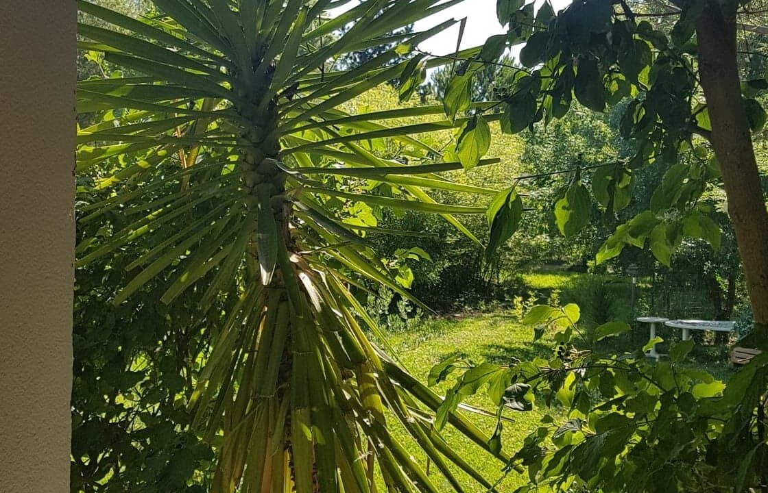 Photo of Outdoor in Saliers