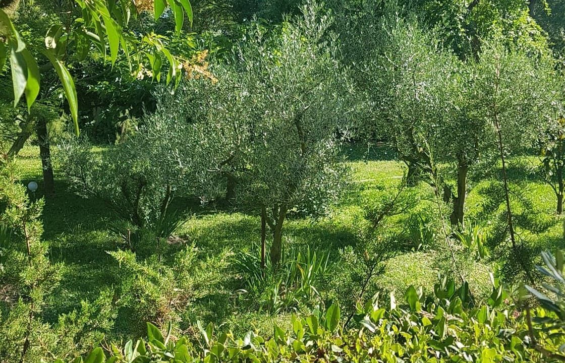 Photo of Outdoor in Saliers
