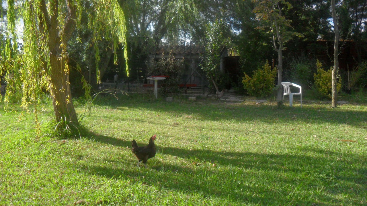 Photo of Outdoor in Saliers