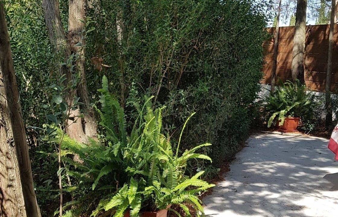 Photo of Outdoor in Saliers