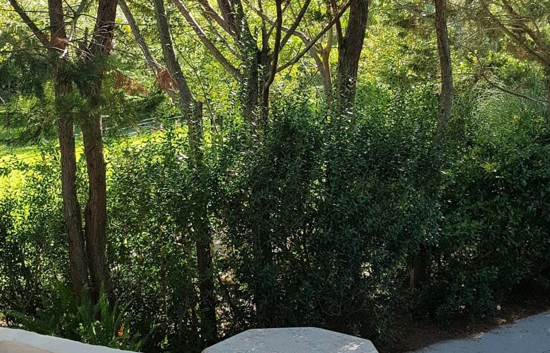 Photo of Outdoor in Saliers